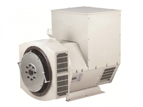 Bürstenloser Synchronous-Wechselstromgenerator der Serie 224 